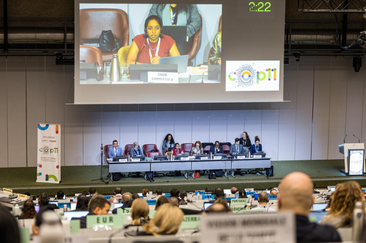 presentation COP11
