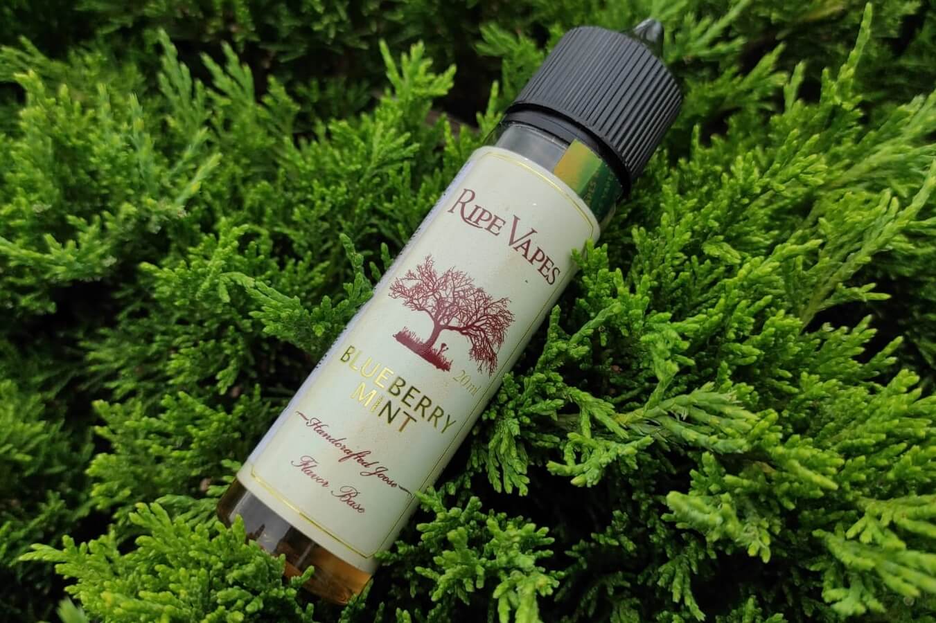 Ripe Vapes Blueberry Mint
