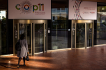 vstup na konferenci